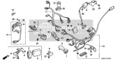 Wire Harness/ Ignition Coil